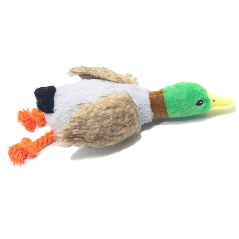 Cute Duck Squeaker Toy - GoPoofy