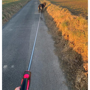 PowerFlex Dog Leash - GoPoofy