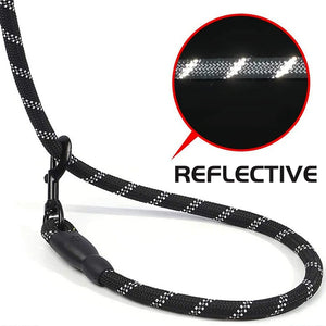 ReflectaWalk Dog Leash - GoPoofy