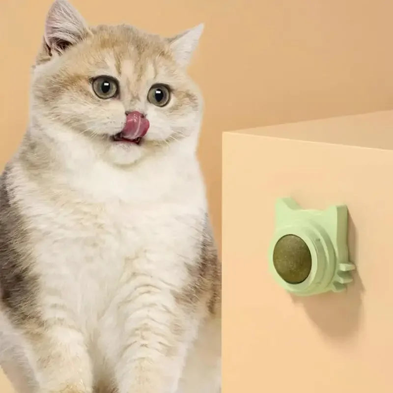 Lickable Cat Toys - GoPoofy