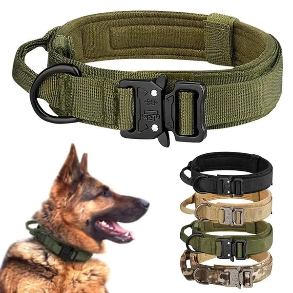 ProGuard Outdoor Dog Collar