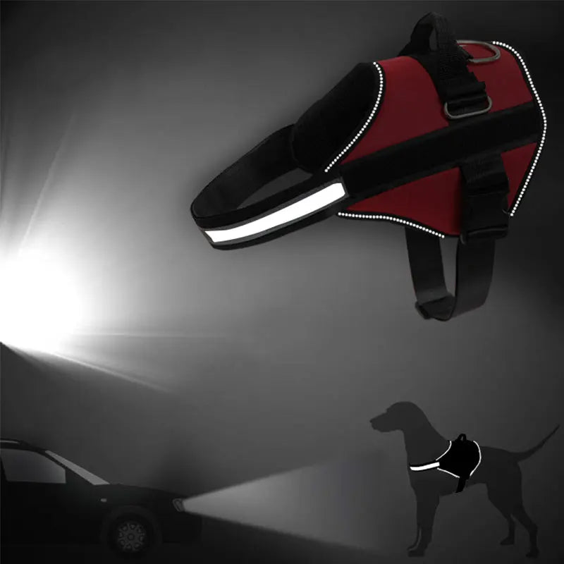 EasyWalk Reflective Dog Harness - GoPoofy