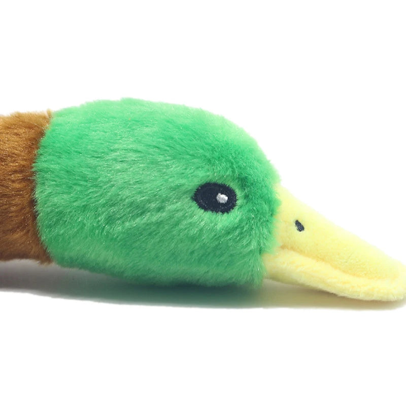 Cute Duck Squeaker Toy - GoPoofy