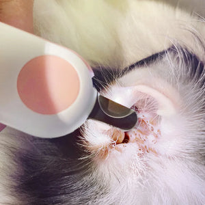 GlowTrim LED Pet Nail Clipper - GoPoofy