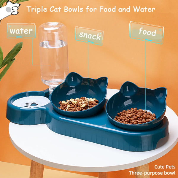 2-in-1 Tilted Pet Feeder with Water Bottle