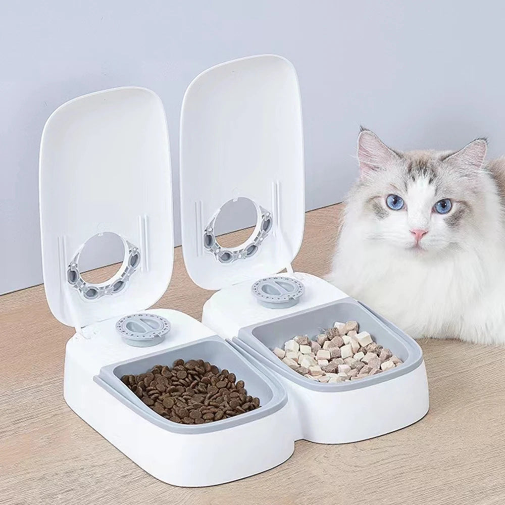 Automatic Pet Feeder & Food Dispenser - GoPoofy