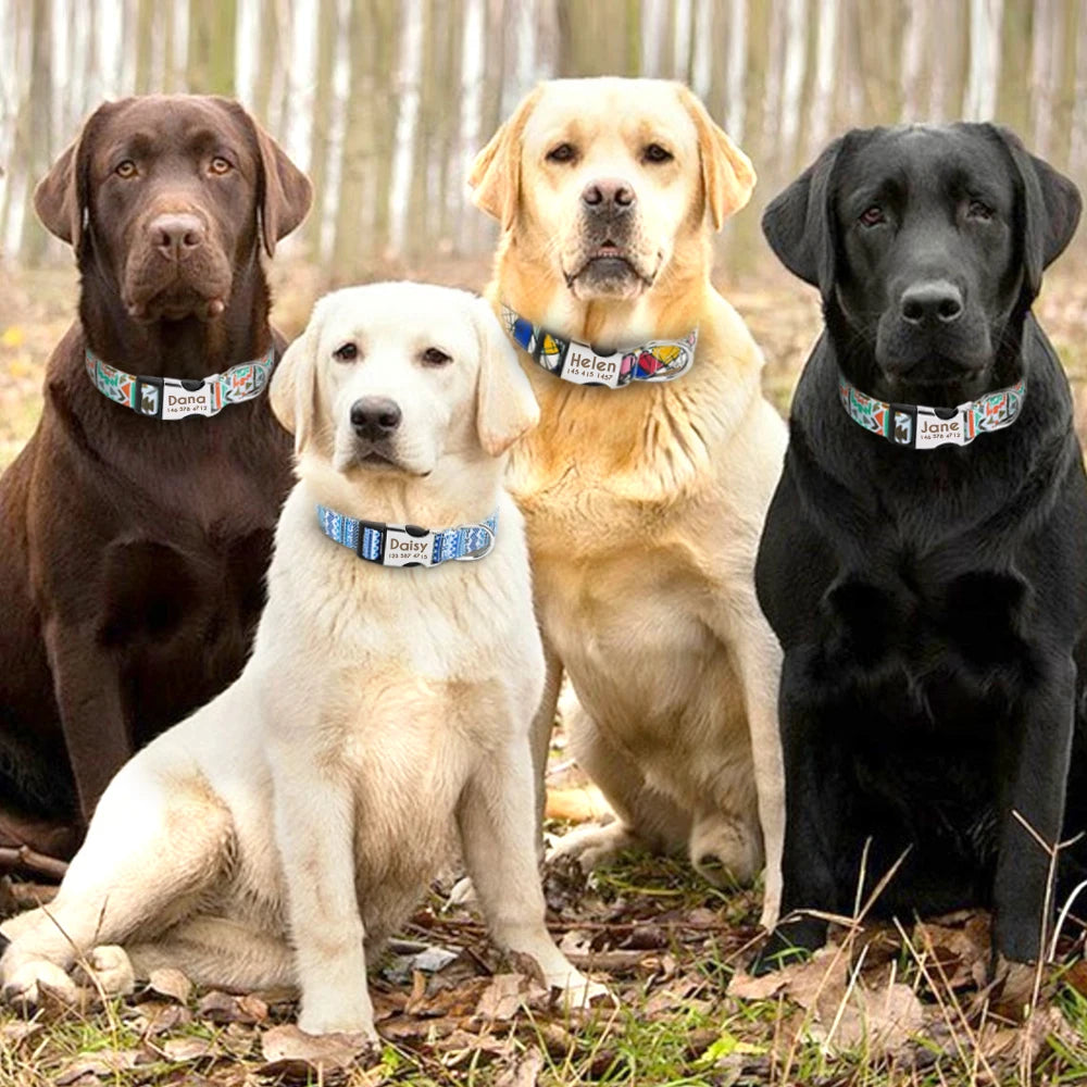 Adjustable Dog Collar - GoPoofy