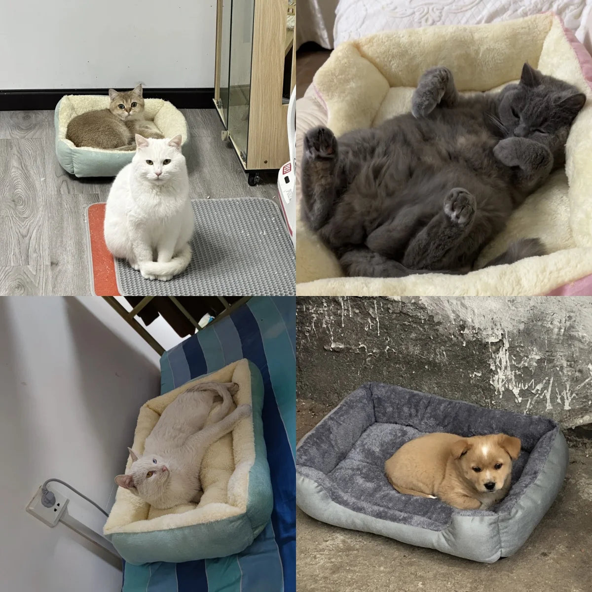 CozyNest Heated Pet Bed - GoPoofy